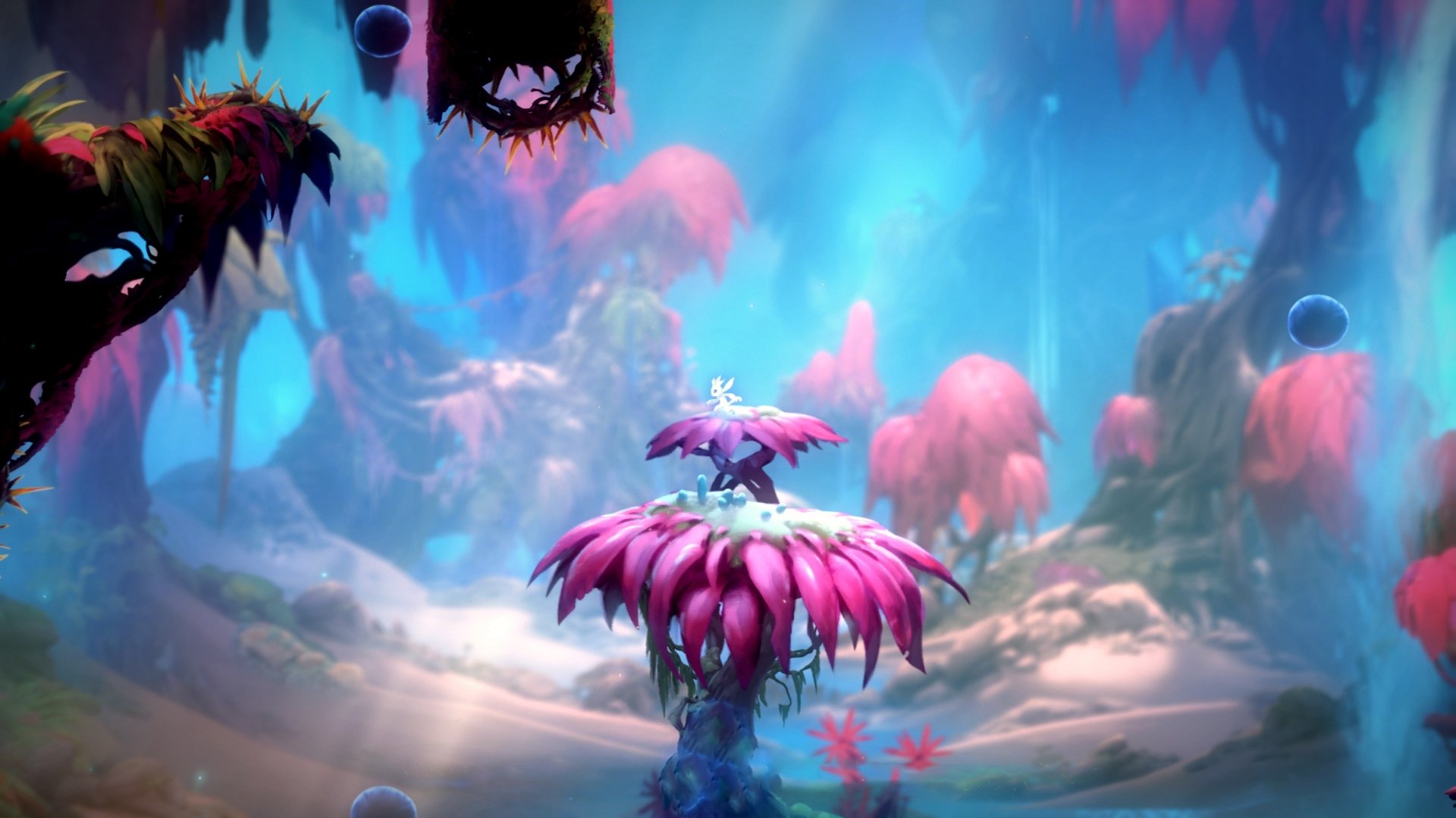 史上最年轻的“冠军射手”光耀舞台，最年轻的射击奥运冠军