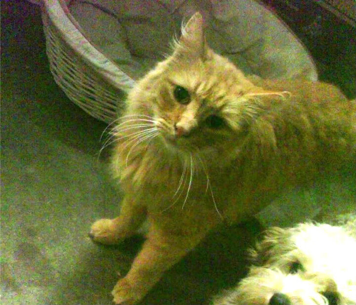 史诗之战:NBA最经典的对阵回顾,nba最新对战