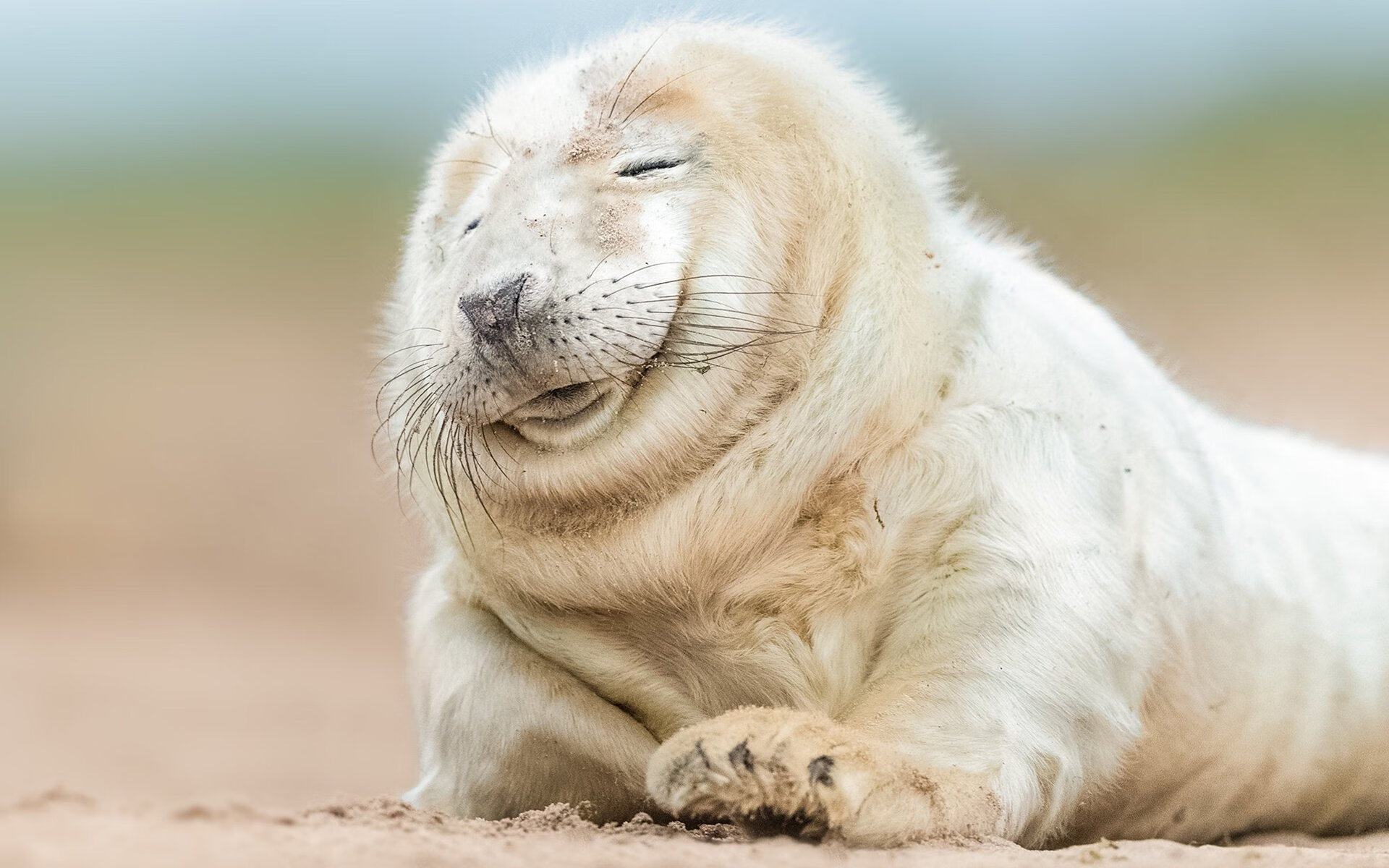 爱游戏app下载-“青春燃梦”青少年篮球系列公益展在西安火热进行，弘扬体育精神