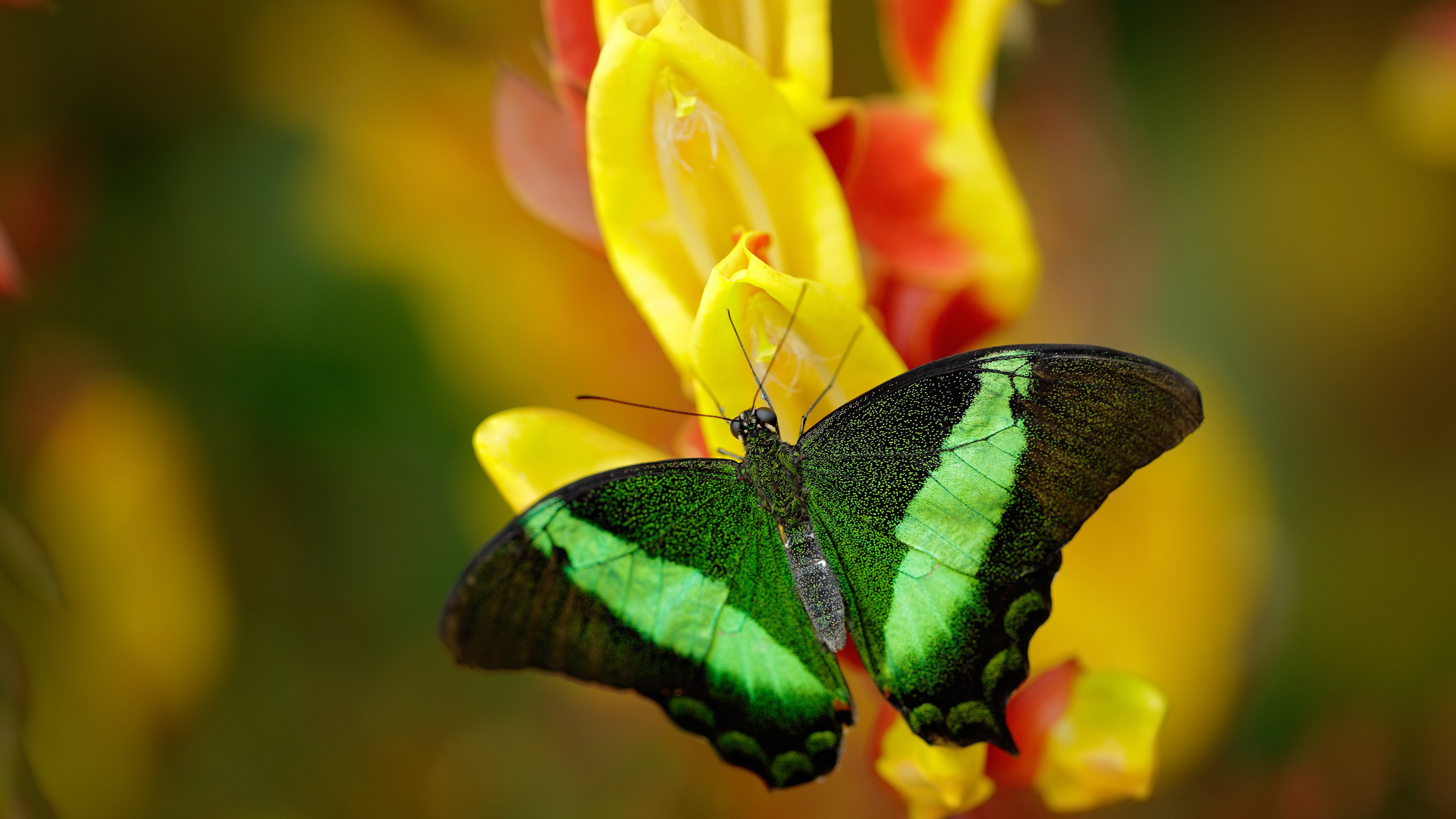 爱游戏体育官方网站-新一批青训教练被派驻各大俱乐部，专业化水平显著提升，青训足球教练